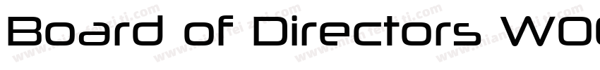 Board of Directors W00 Book字体转换